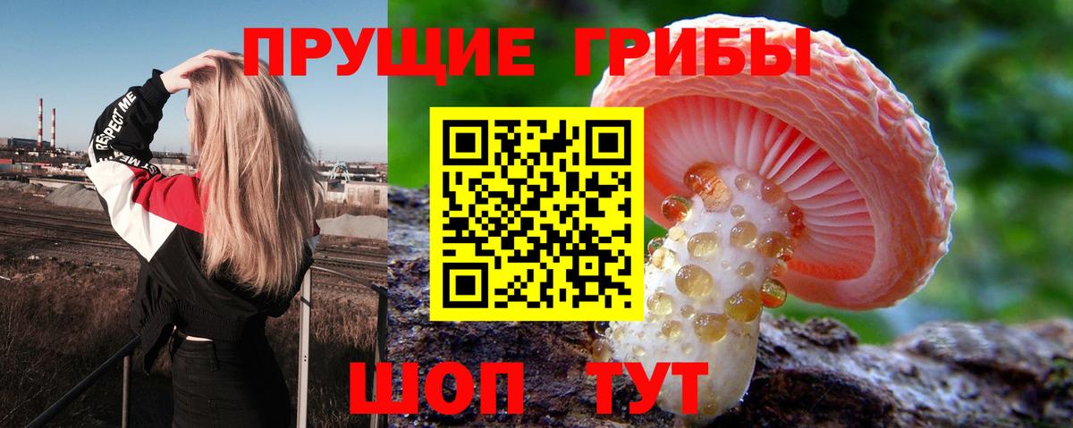 Тихвин  Псилоцибиновые грибы Psilocybine cubensis  Галлюциногенные грибы Psilocybe  Вход с VPN 
